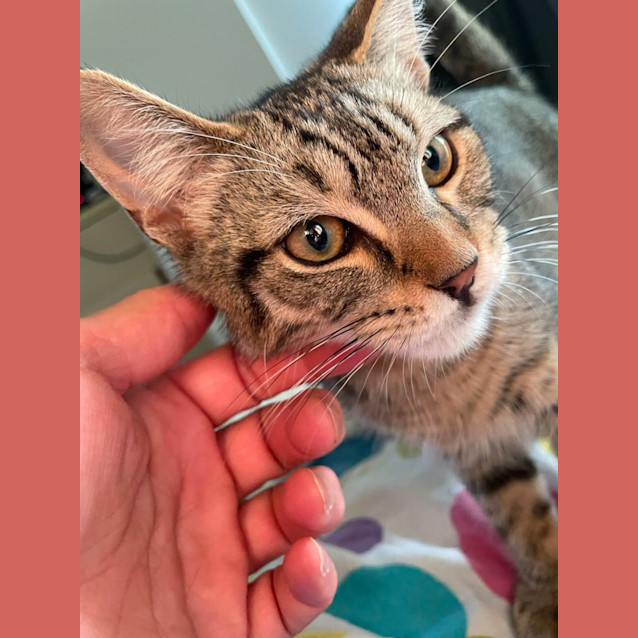 Photo of Hugo