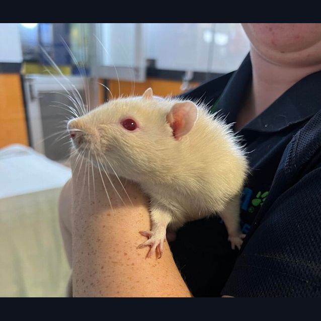 Photo of Jasper