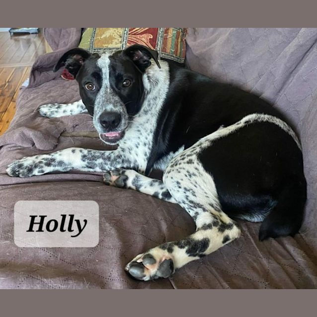Photo of Holly