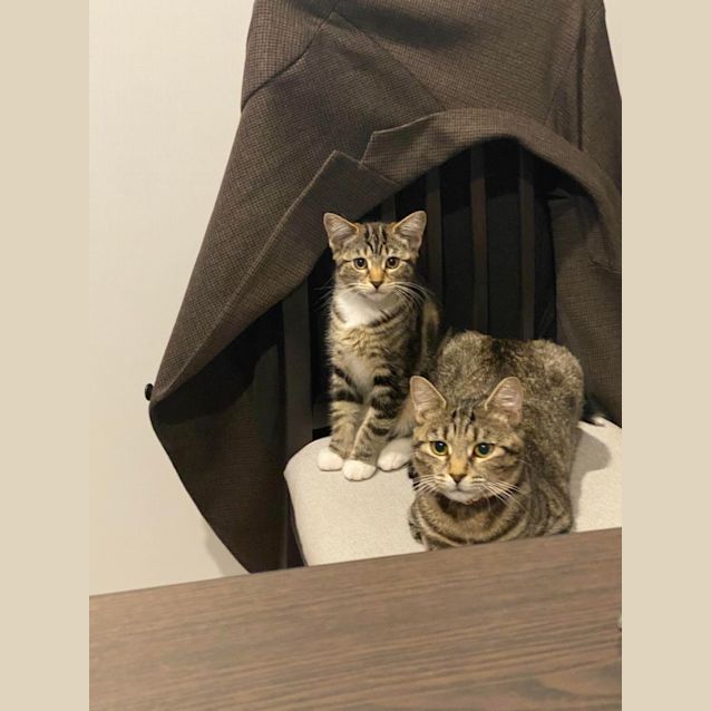 Photo of Koko And Koshka