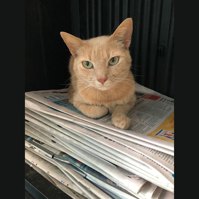 Photo of Tad