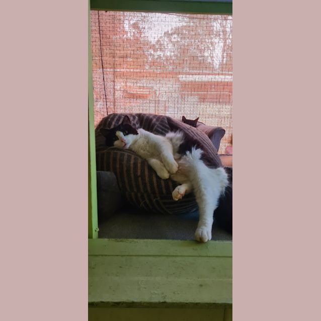 Photo of Tubby