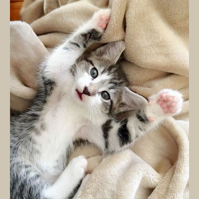 Photo of 🌚Wagon Wheel🌚