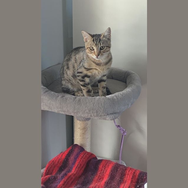 Photo of Sweet Stuart