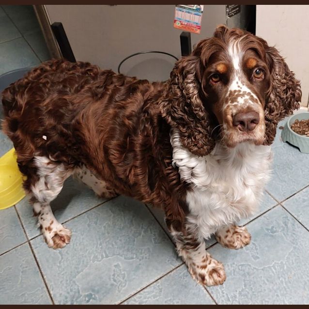 Photo of Penny