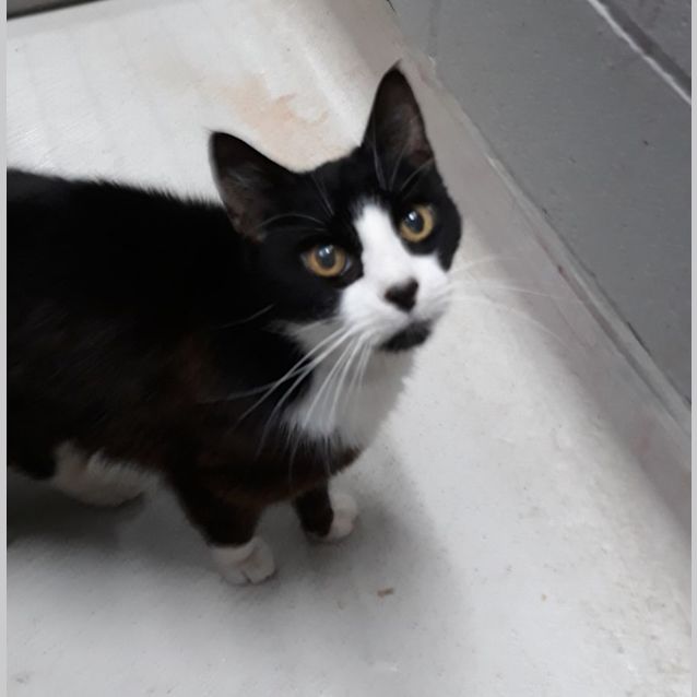 Photo of Jet