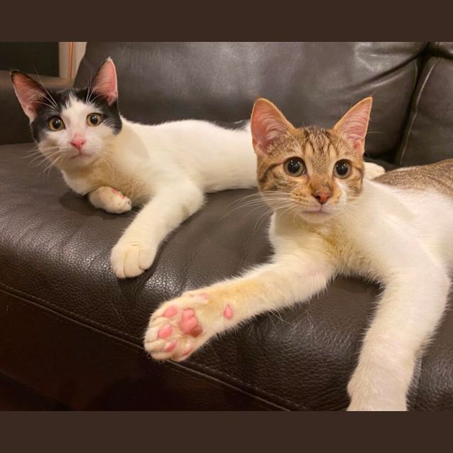 Photo of Frankie And Charlie