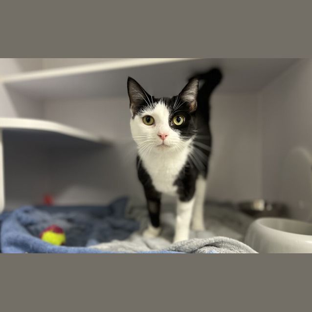 Photo of Gretta