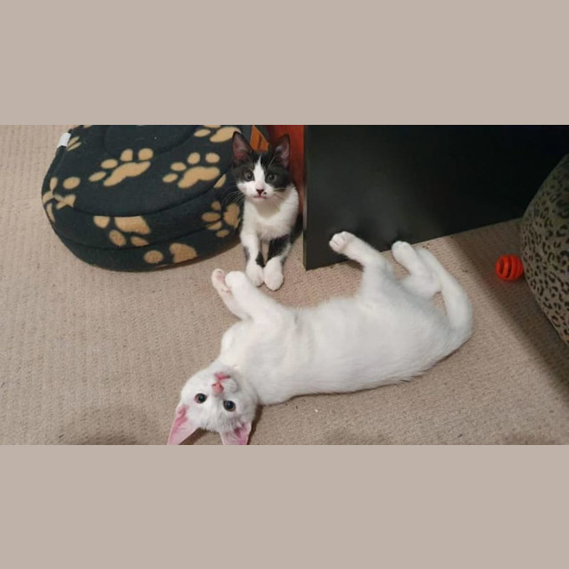 Photo of Myrrh And Caspar