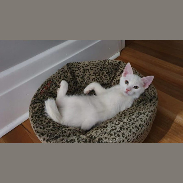 Photo of Myrrh And Caspar