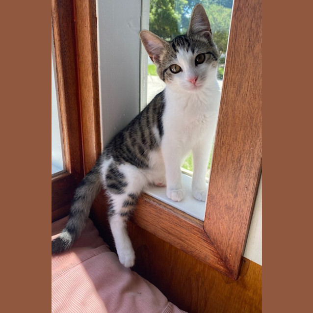 Photo of Lily Ann Daisy