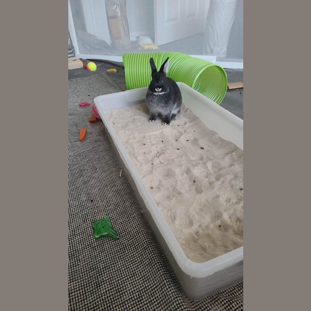 Photo of Smarty