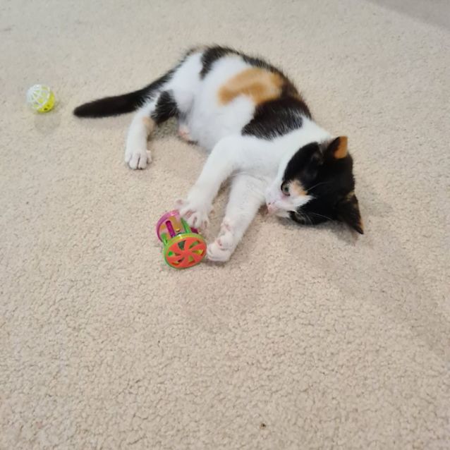 Photo of Daisy And Dennis