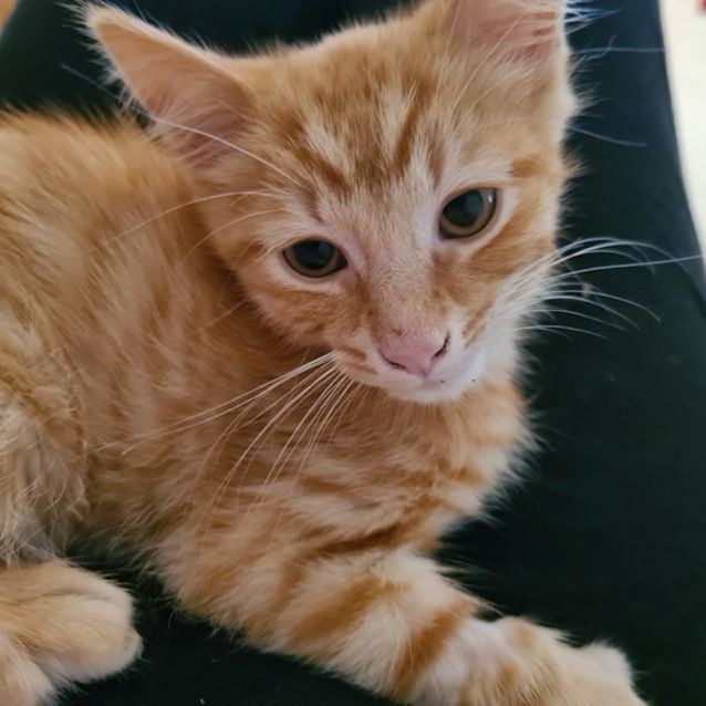 Photo of Daisy And Dennis