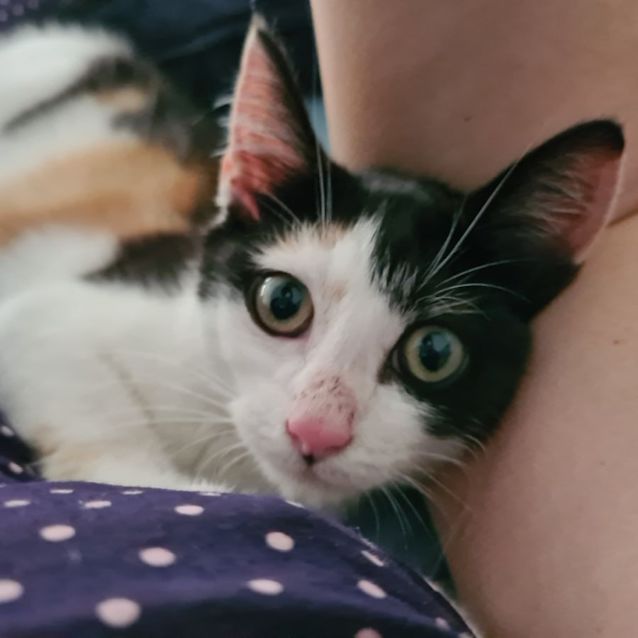 Photo of Daisy And Dennis