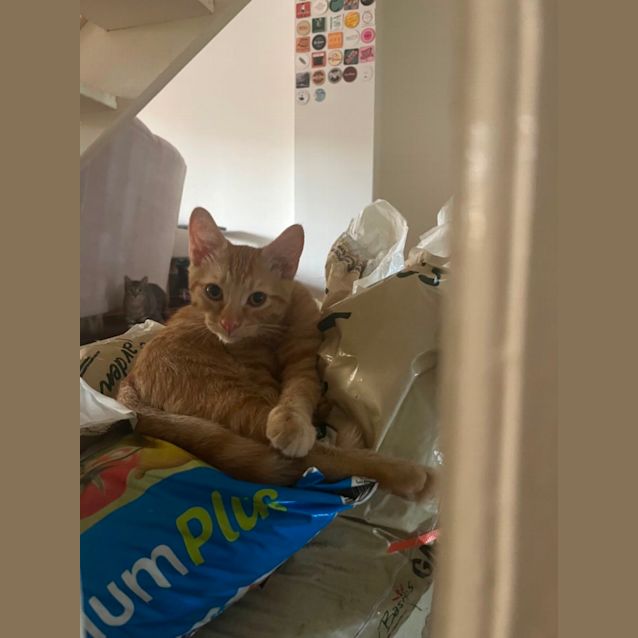 Photo of Fred And Winston