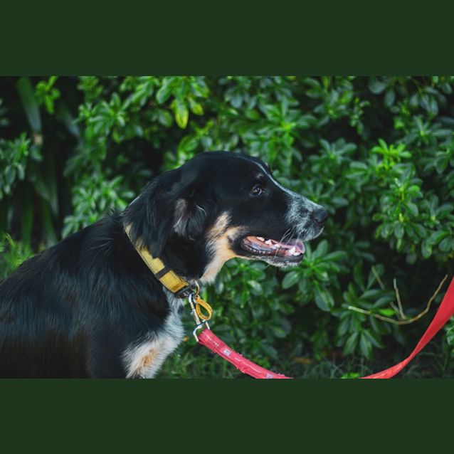 Photo of Darla