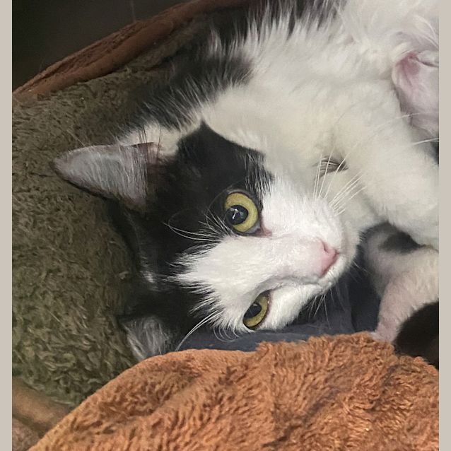 Photo of Marley