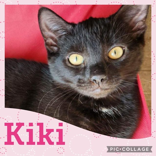 Photo of Kiki 
