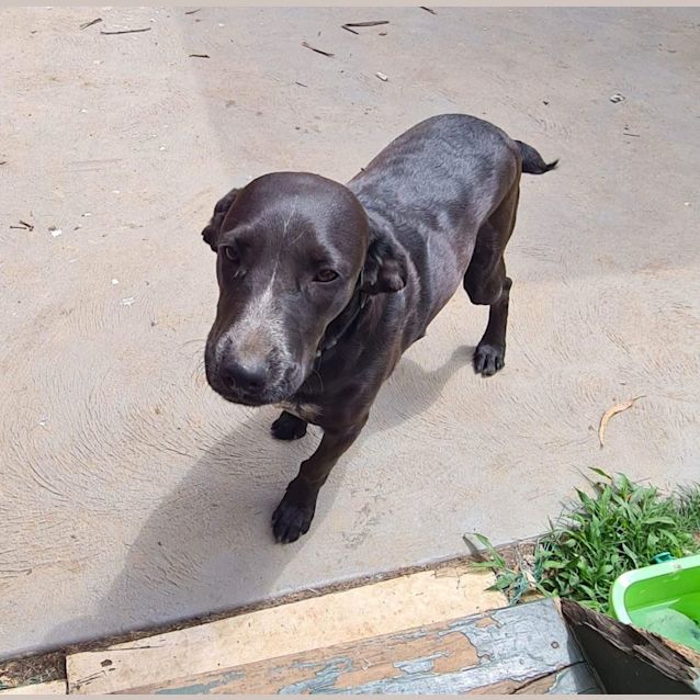 Photo of Bingo
