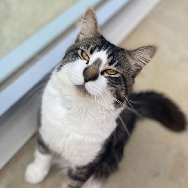 Photo of Mr Valentino