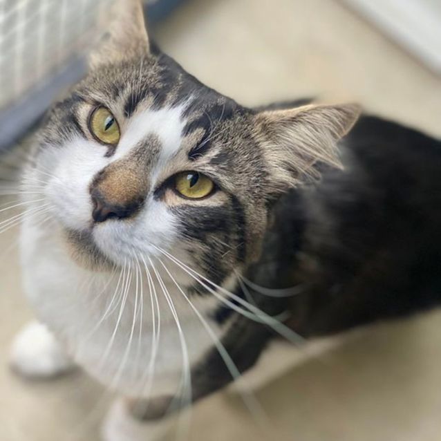 Photo of Mr Valentino