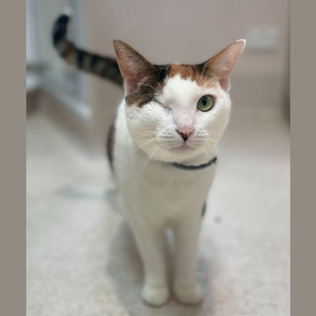 Photo of Lilly (9469)