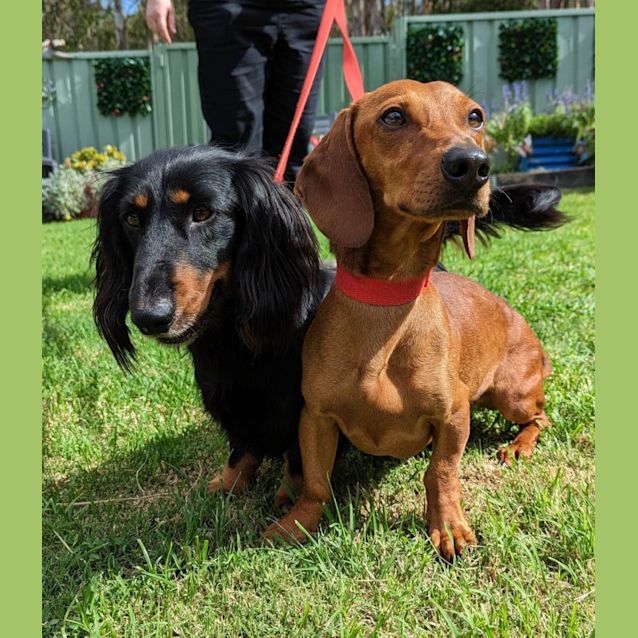 Photo of Wesley & Wynter