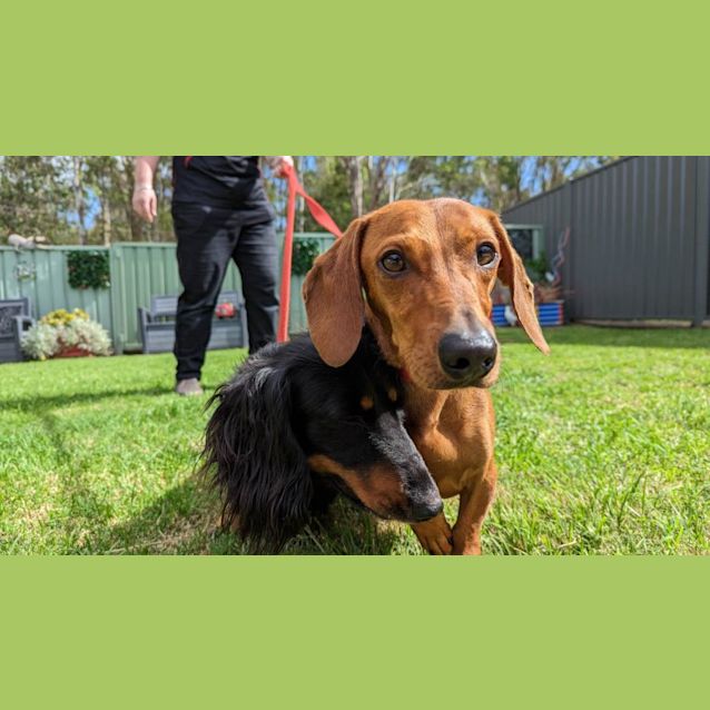 Photo of Wesley & Wynter