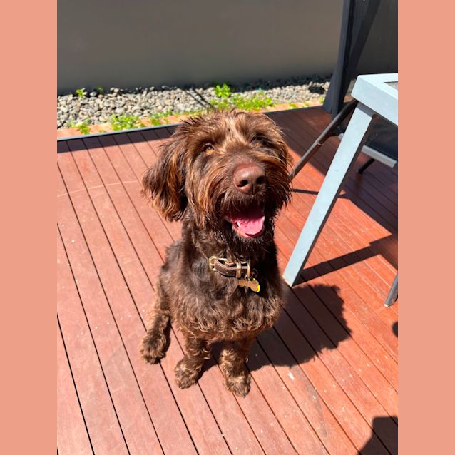 Photo of Winnie