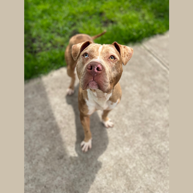 Photo of Cash 