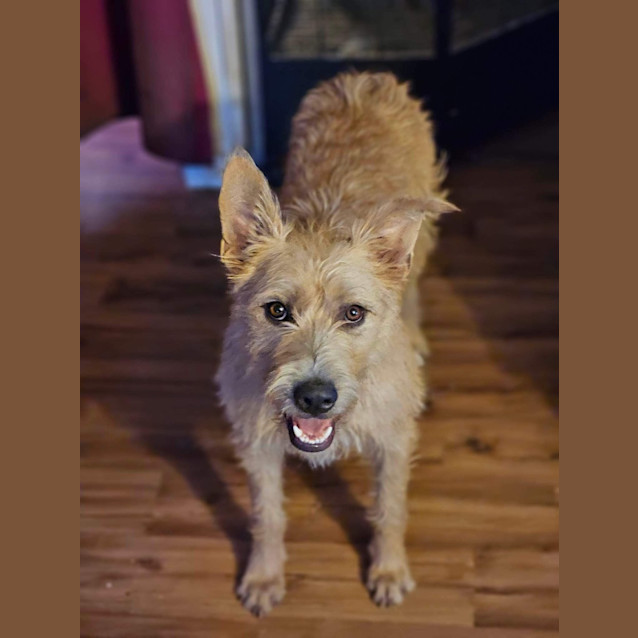 Photo of Oakley