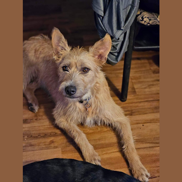 Photo of Oakley