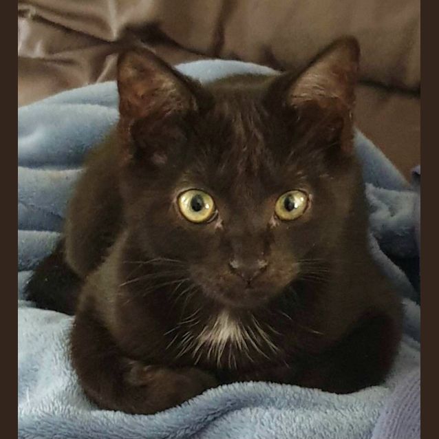 Photo of Charcoal