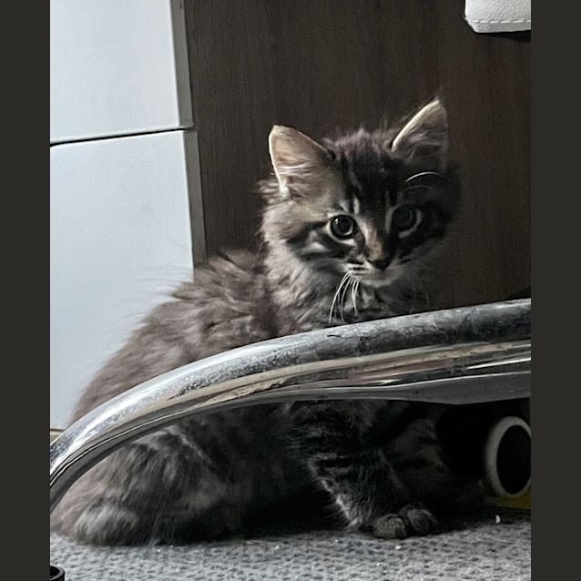 Photo of Jabba