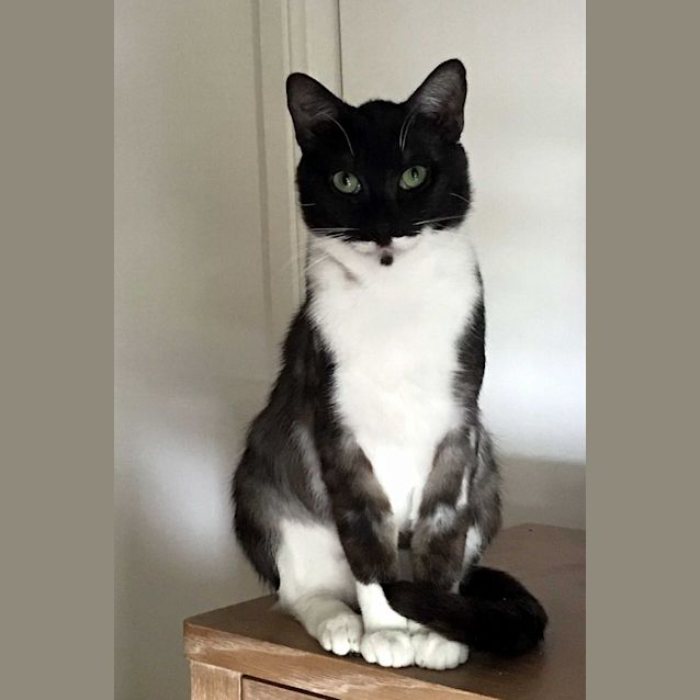 Photo of Ham Sta010390