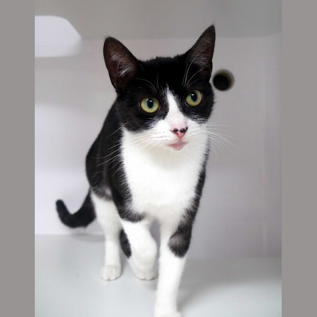 Photo of Kimbra Sta010825