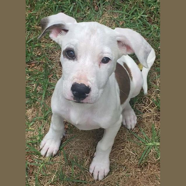 Photo of Blue Heaven