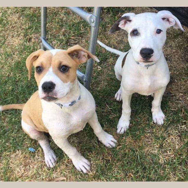 Photo of Blue Heaven