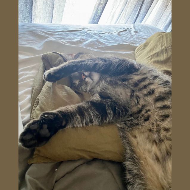Photo of Maggie