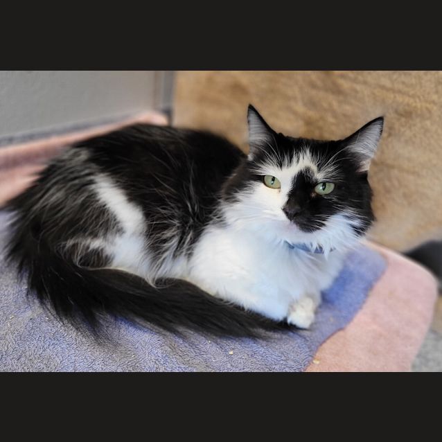 Photo of Katy Purrry