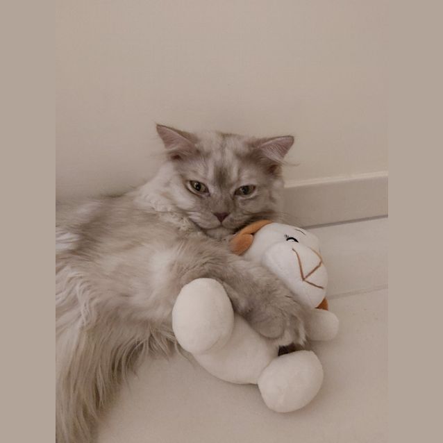 Photo of Lord Mow Mow