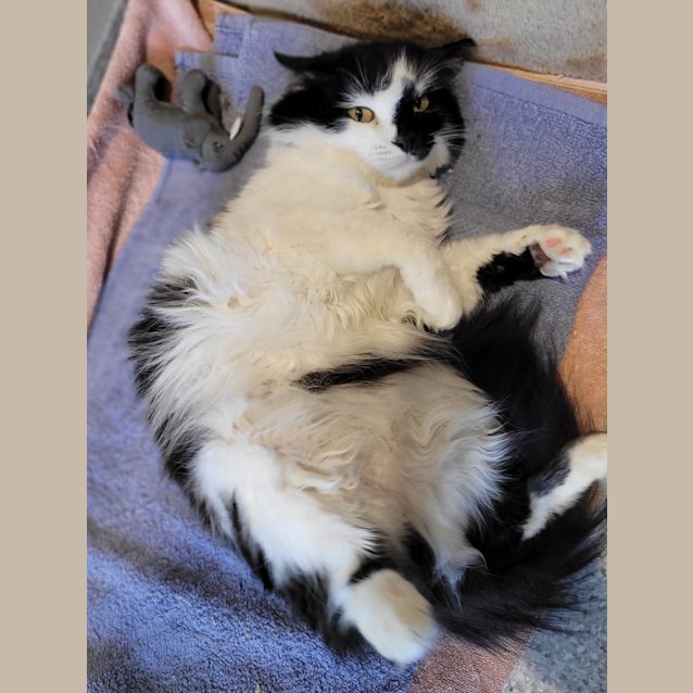 Photo of Katy Purrry