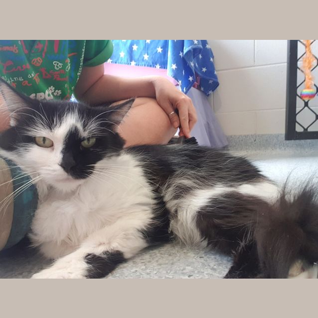 Photo of Katy Purrry