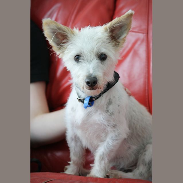 Photo of Duke