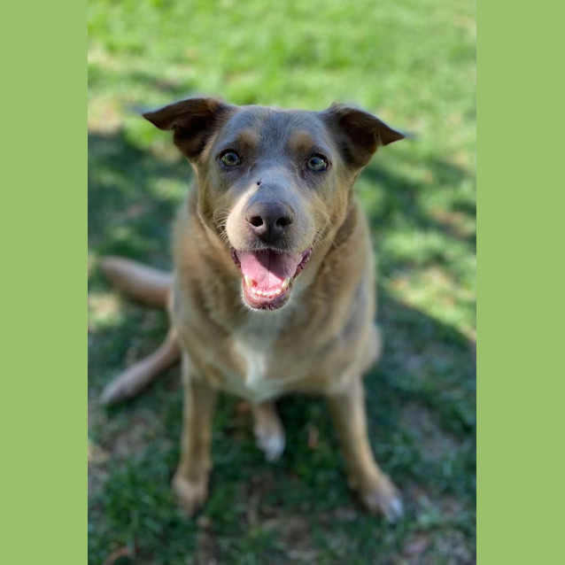 Photo of Sandi