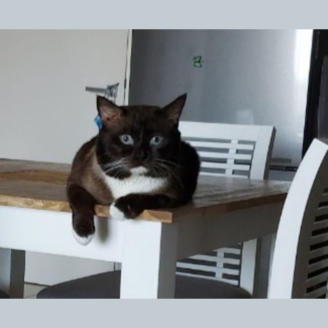 Photo of Flopsy
