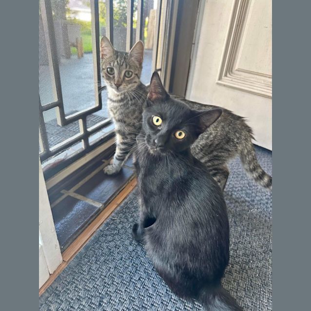 Photo of Freddy (Kruger)