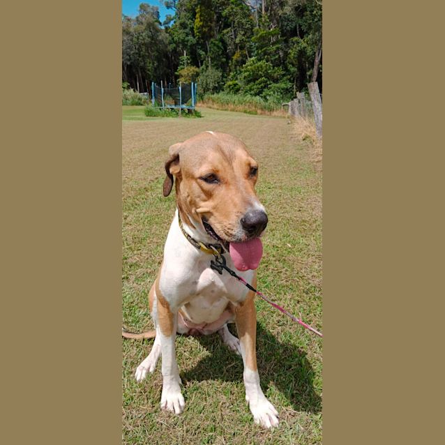 Photo of Suzie