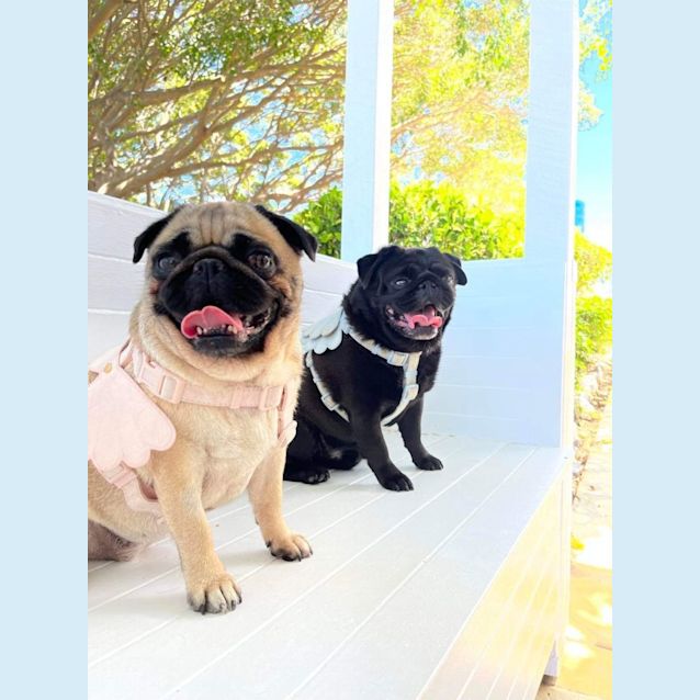 Photo of Bonnie And Clyde